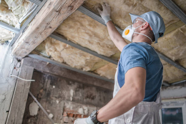 Best Types of Insulation in Toast, NC